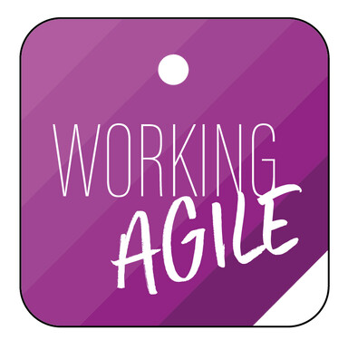 Logo von WORKING AGILE