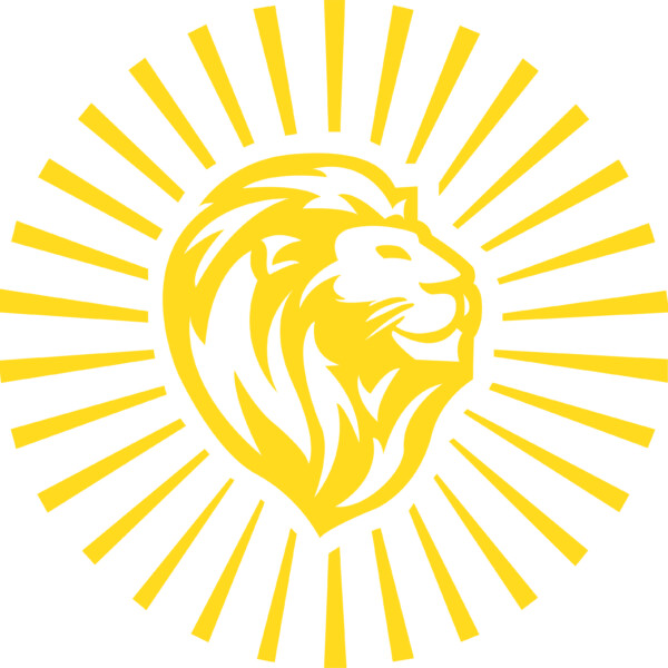 Solar-LION GmbH in Herford - Logo