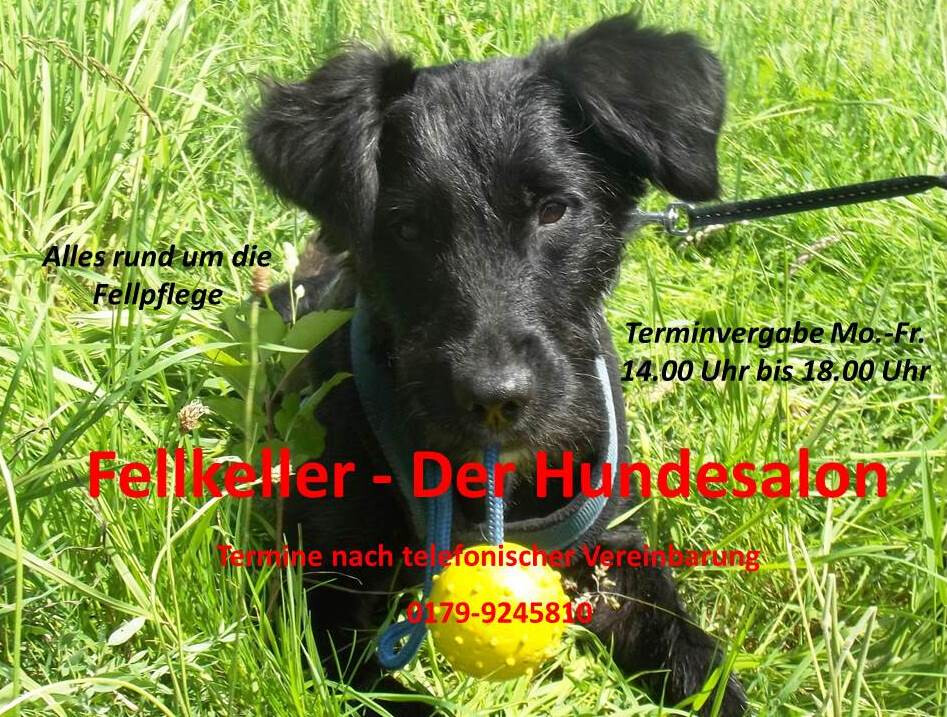 Fellkeller-Der Hundesalon in Selters im Taunus - Logo