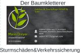 Galabau Baumpflege Dreyer & Althoff in Krumbach in Schwaben - Logo