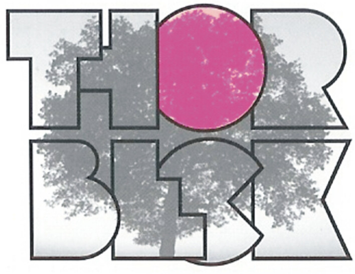 Schreinerei Michael Thorbeck in Wendelstein - Logo