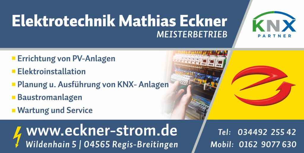 Elektrotechnik Mathias Eckner in Regis Breitingen - Logo