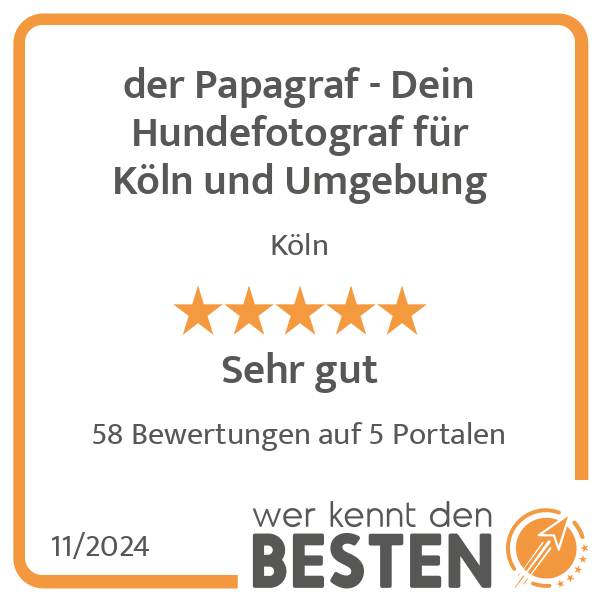 der Papagraf - Dein Hundefotograf für Köln und Umgebung in Köln - Logo