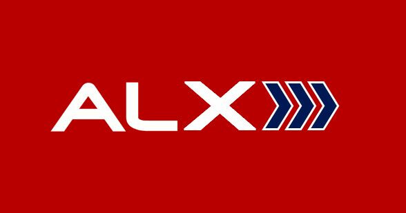 ALX GmbH in Villingen Schwenningen - Logo