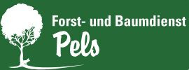 Forst- und Baumdienst Pels in Reken - Logo