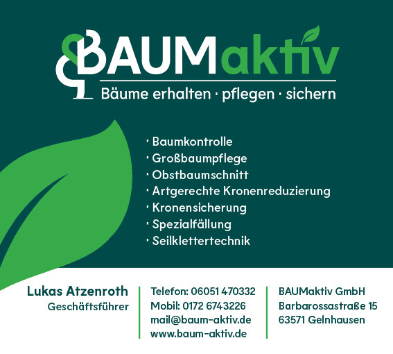 BAUM-aktiv GmbH in Gelnhausen - Logo