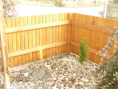 preview.image