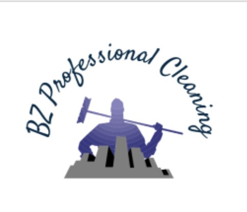 Bz Professional Cleaning in Diez - Logo