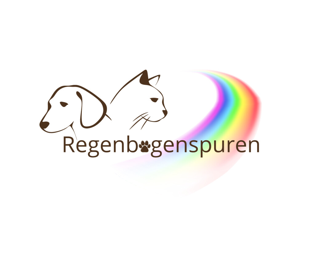 Regenbogenspuren in Berlin - Logo