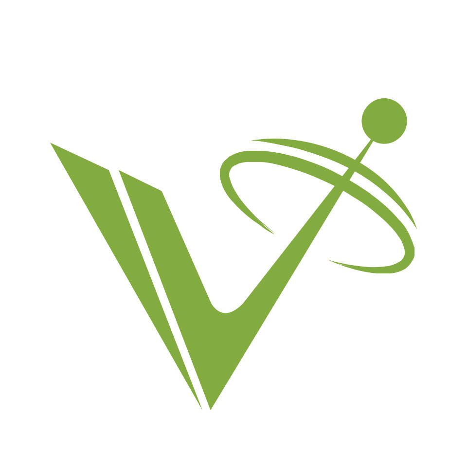 Vecuro Consulting - 1
