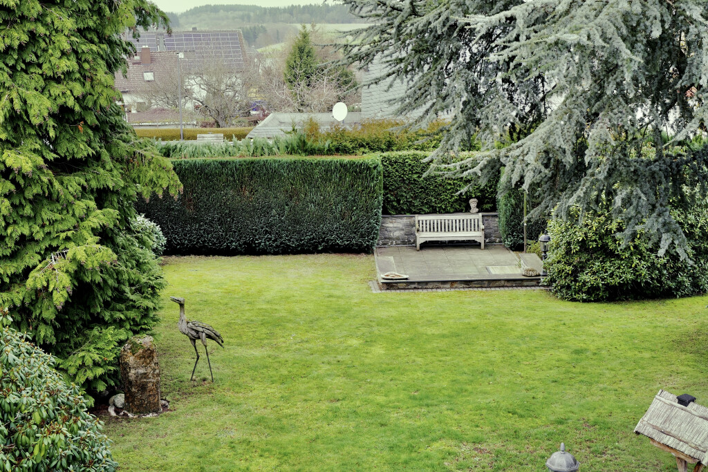 Daily Gartenpflege in Offenbach am Main - Logo