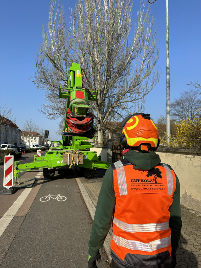 GutHolz Baum und Landschaftspflege in Naunhof bei Grimma - Logo