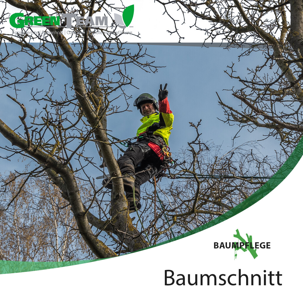 Green Team in Mansfeld im Südharz - Logo