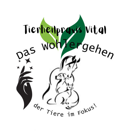 Tierheilpraxis Vital Amanda Gillet in Stolberg im Rheinland - Logo
