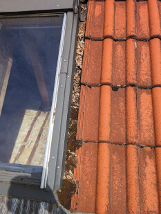 preview.image
