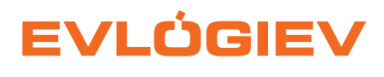 Evlogiev Solar GmbH & Co. KG in Otterstadt - Logo