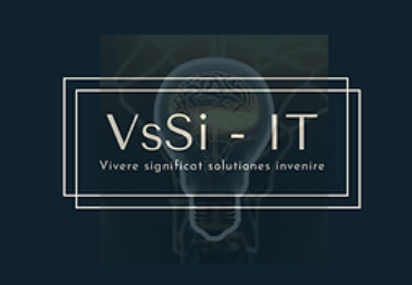 VsSi-IT in Krefeld - Logo