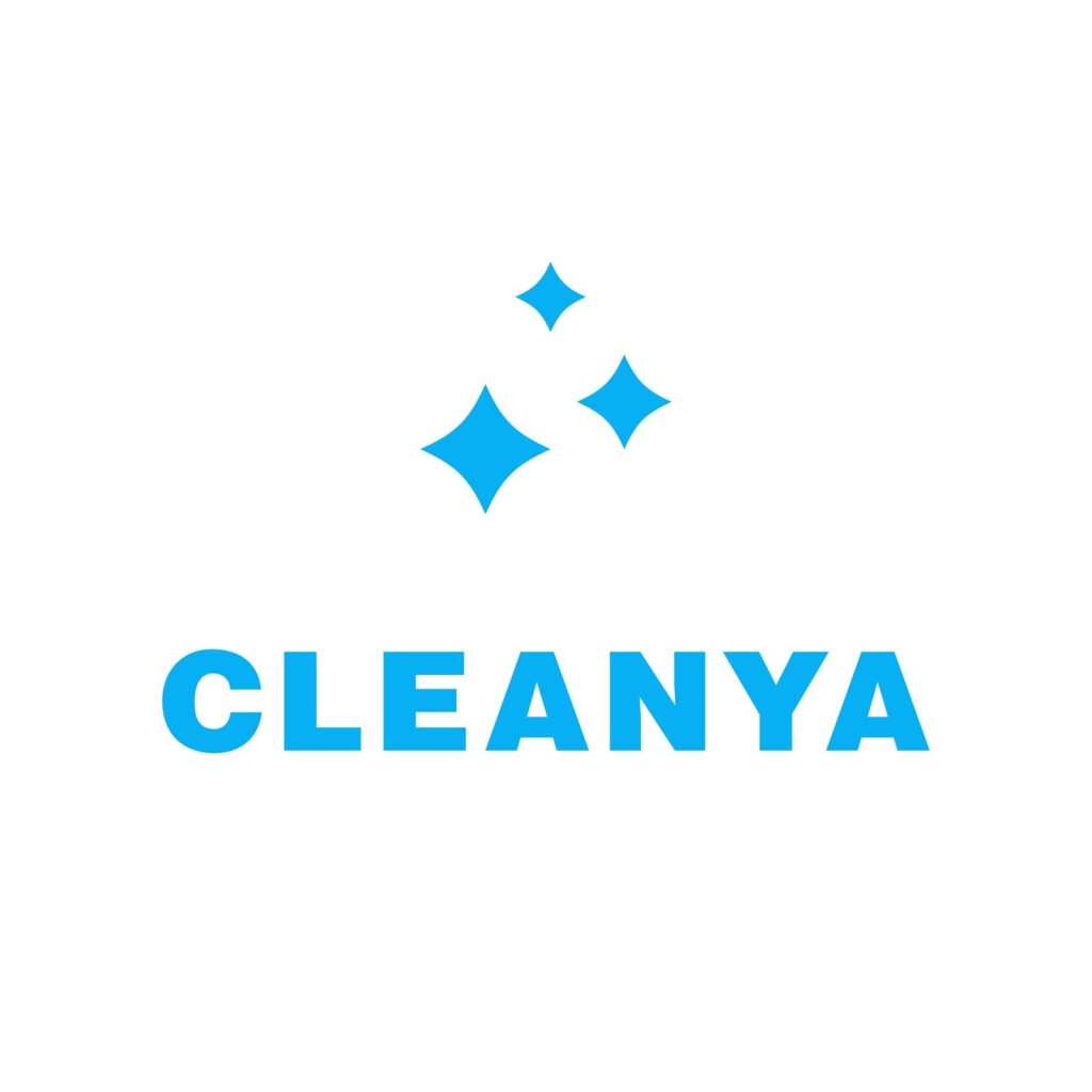 Cleanya in Leipzig - Logo