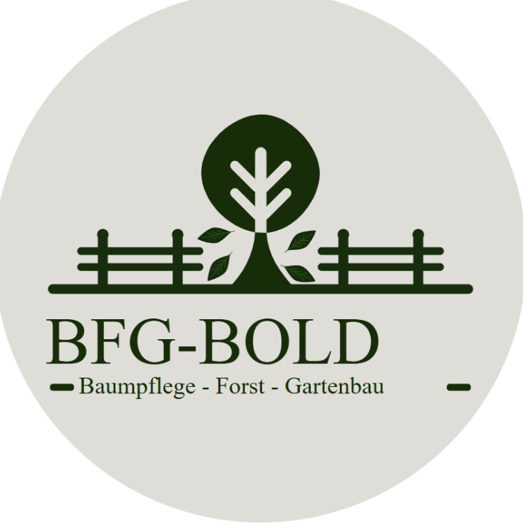 BFG Bold in Mannheim - Logo