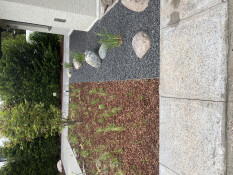 preview.image