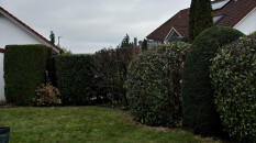 preview.image