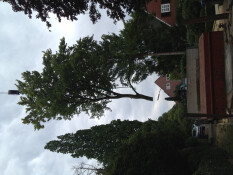preview.image