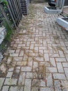 preview.image