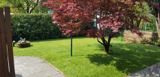 preview.image