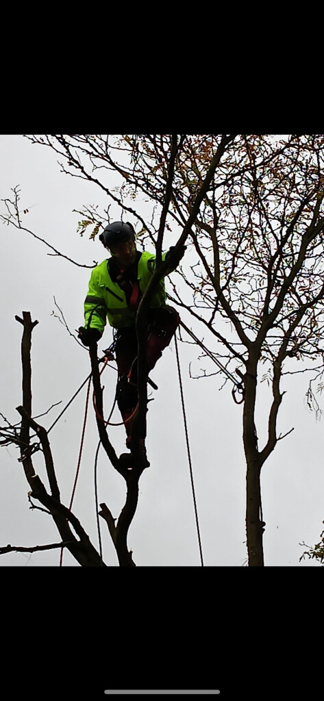 Omach - IMG_9096.png