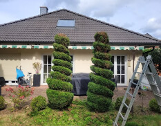 preview.image