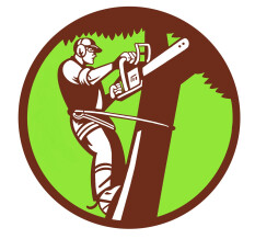 preview.image
