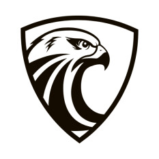 preview.image