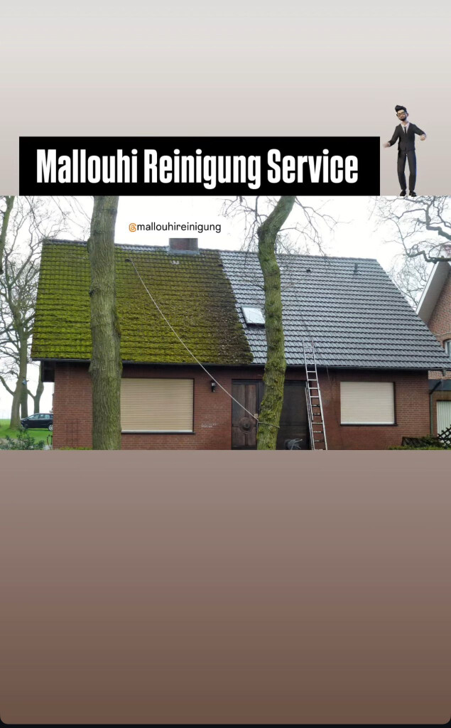 Mallouhi Reinigung in Ruppichteroth - Logo