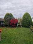 Haus und Gartenservice Stahl