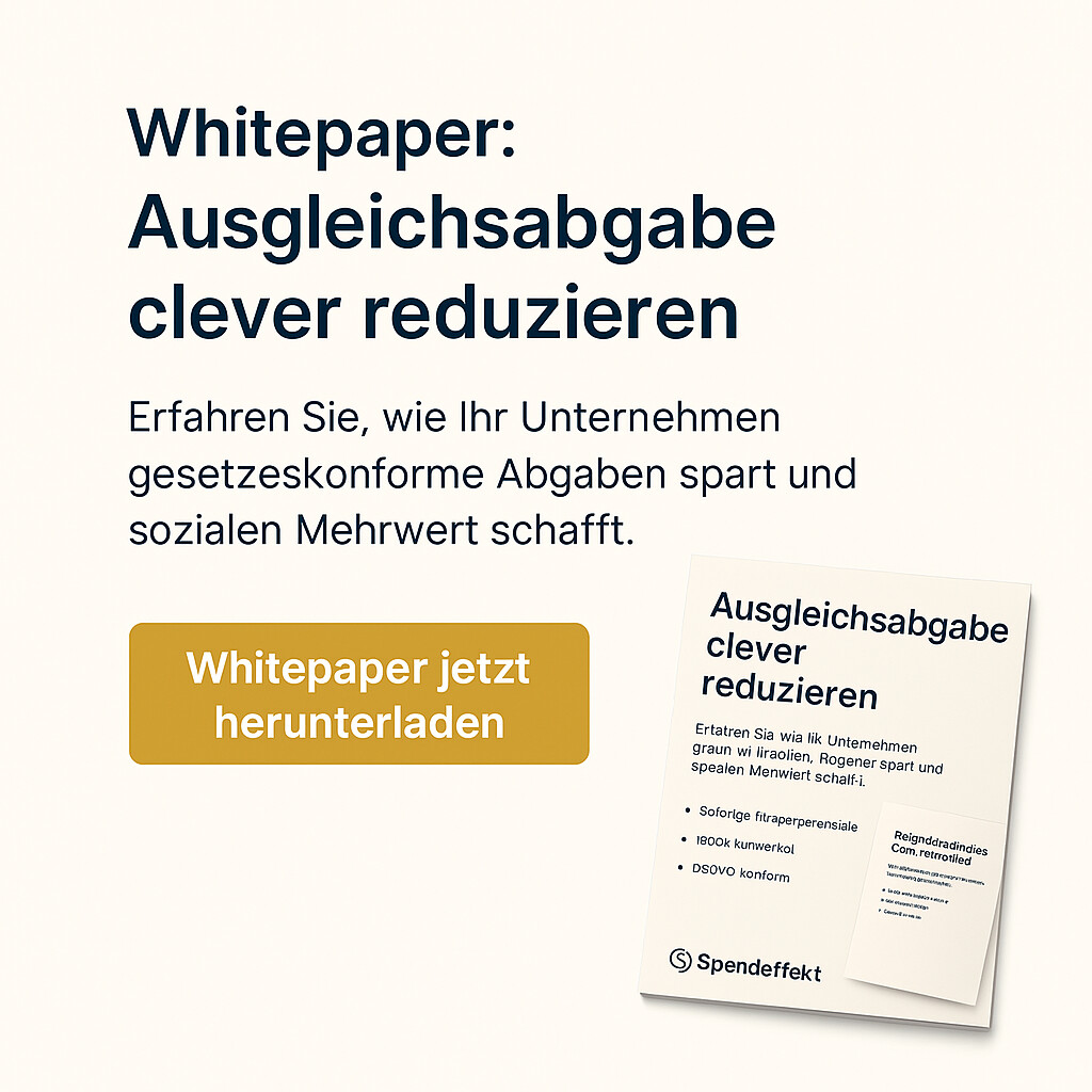 SpendEffekt e.K. - Bild für Whitepaper.png