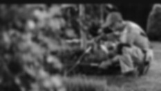 preview.image