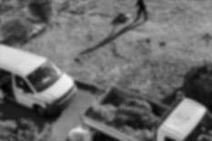 preview.image