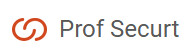 Prof Securt in Gelsenkirchen - Logo