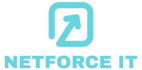 Netforce IT in Nürnberg - Logo