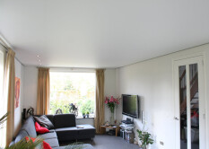 preview.image
