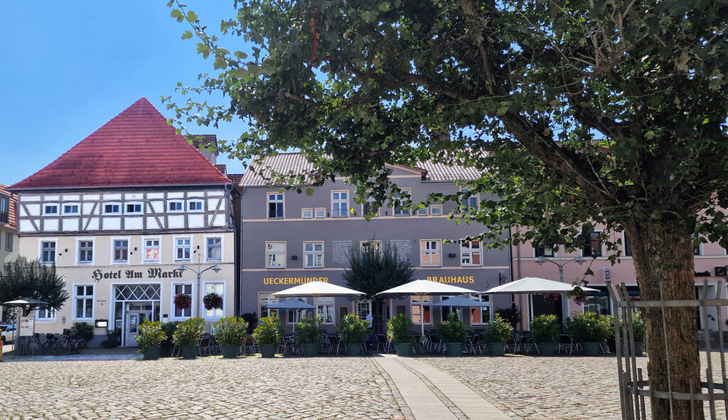 Hotel Am Markt & Brauhaus Stadtkrug in Ueckermünde - Logo