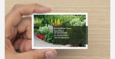 preview.image