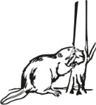Logo von Baum- & Gartendienst Stockhammer