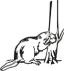 Baum- & Gartendienst Stockhammer