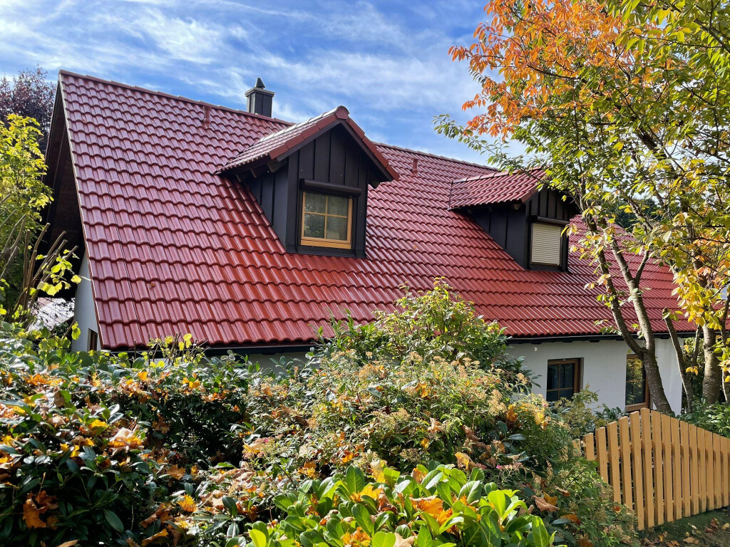 Dach Color Perfekt in Langenau in Württemberg - Logo