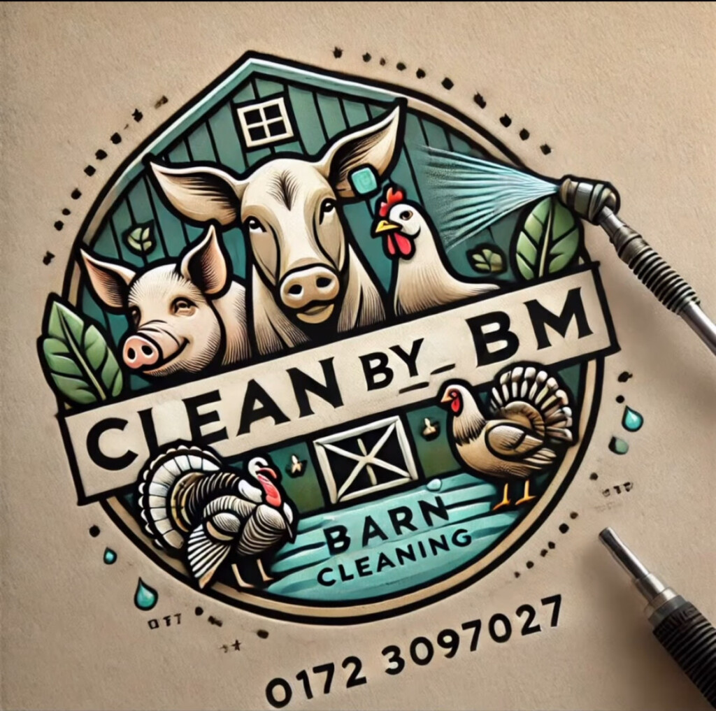 Logo von Clean BY BM