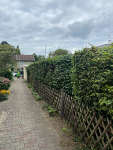 preview.image