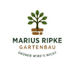 Marius Ripke Grüner wird's nicht