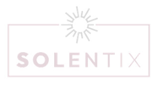Solentix Ug (haftungsbeschränkt) in Ettlingen - Logo