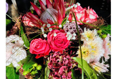 preview.image